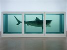 Damien Hirst: The Physical Impossibility of Death in the Mind of Someone Living