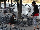 Barmánci velmi rádi krmí holuby. Na ulicích se asto prodává zrní, které si...