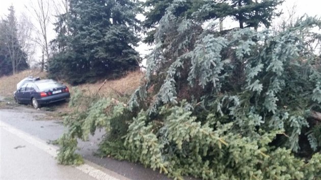 idi nedaleko Mnku pod Brdy dostal smyk, jeho auto skonilo v pkopu, kde pokosilo nkolik strom (22.2.2015)