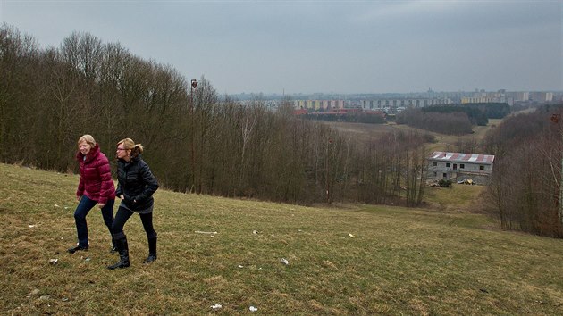 Nkdej lyask arel Rozrka v Hradci Krlov (23.2.2015).