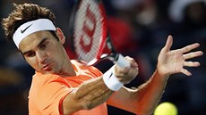 ZATÍM POSLEDNÍ TROFEJ. Federer v Dubaji ukázal, e i letos má vynikající formu.