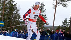Anders Glöersen na trati volné patnáctky na mistrovství svta ve Falunu.
