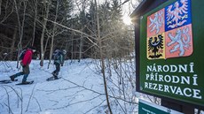 Ochránci přírody a další dobrovolníci v zimě mapují šelmy v Beskydech už od...