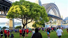 Pulmaraton u protinoc