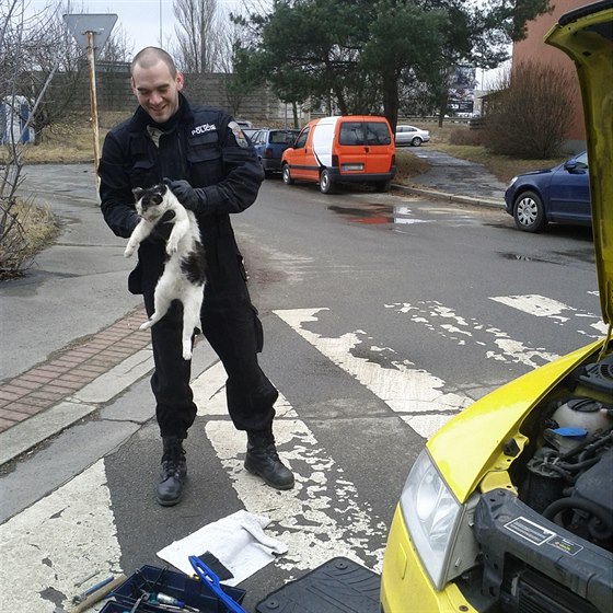 Stráníci vytáhli z motoru auta, které pijelo z Karlových Var, moukající...