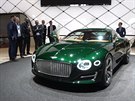 Bentley EXT 10