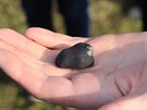 Tenhle meteorit dopadl ped dvma roky v eljabinské oblasti v Rusku. Vedoucí...
