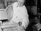 Prkopník zmrazování potravin Clarence Birdseye zpoátku naráel na nedvru...