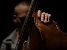Avishai Cohen Trio: From Darkness (obal)