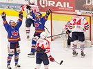 Hokejisté eských Budjovic se radují z gólu v duelu s Tebíí.