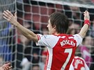 Tomá Rosický (7) z Arsenalu se raduje ze svého gólu proti Evertonu.