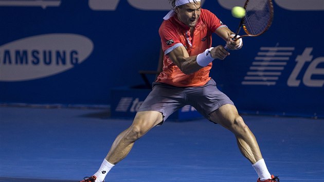 David Ferrer ve finle turnaje v Acapulcu.
