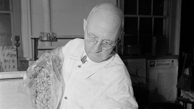 Prkopnk zmrazovn potravin Clarence Birdseye zpotku narel na nedvru zkaznk. A na samm prahu 30. let se ve obrtilo k lepmu a Birdseye zbohatl.