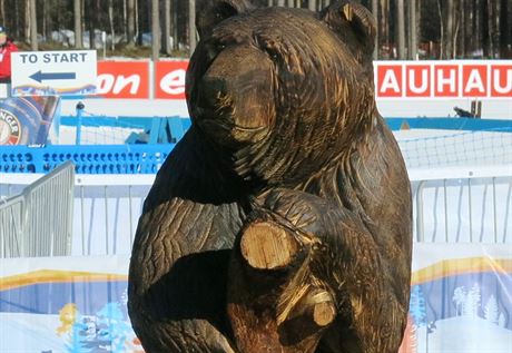 Devných medvd je v biatlonovém areálu v Kontiolahti celá smeka.