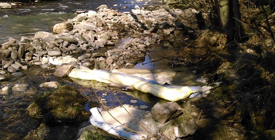 Hasiči zachytávají ropné látky na řece Úpě ve Svobodě nad Úpou.