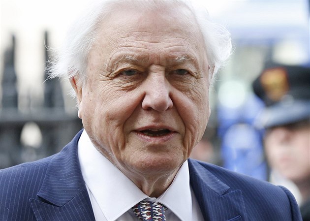 David Attenborough si v 94 letech pořídil Instagram, sledují ho miliony