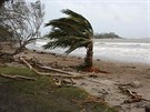 Následky cyklónu Pam na souostroví Vanuatu (15. bezna 2015)
