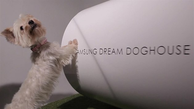 Psí bouda snů vytvořená na zakázku společnosti Samsung