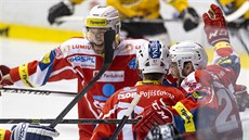 Hokejisté Pardubic se radují, proto�e v utkání s Litvínovem odvrátili konec...