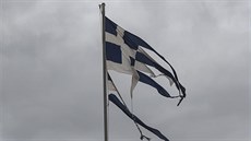 ecko - ilustraní snímek.