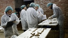 Antropologové zkoumají Cervantesovy kosti