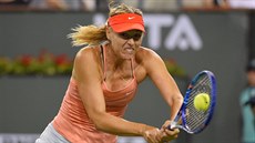 Maria arapovová na turnaji v Indian Wells.