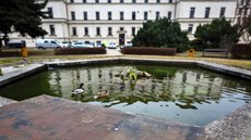 Obvodní soud pro Prahu 5 se má stěhovat z areálu Justičního paláce na náměstí...