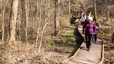Sdru�ení �eskolipsko se od po�átku zabývá propagací turismu. Na snímku nau�ná stezka plná bledulí v Pekle. 