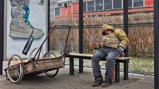 Bezdomovec v Hradci Králové