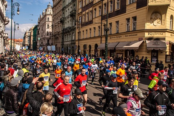 Plmaraton