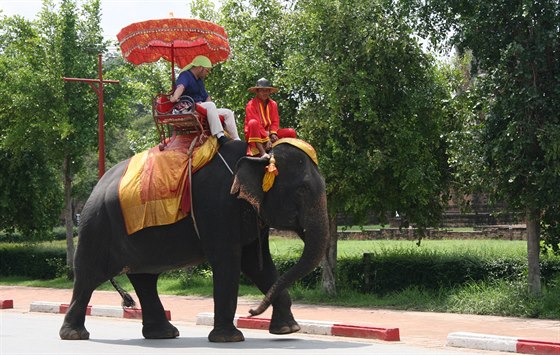 Projíka na slonech patí k oblíbeným cestovatelským záitkm. Ilustraní foto