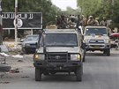 Do boje proti Boko Haram v Nigérii se zapojily i jednotky adu (18. bezna 2015)