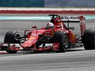 Sebastian Vettel  - vítz Velké ceny Malajsie.