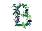 Logo Botanické zahrady.