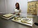 Na unik�tn� v�stav� v N�rodn�m muzeu jsou k vid�n� dv� expozice zab�vaj�c� se...