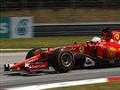 Sebastian Vettel v kvalifikaci na Velkou cenu Malajsie