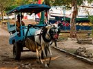 Na ostrov Trawangan u Lomboku v Indonésii nejezdí auta a dopravu zde obstarává...