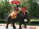 Projíka na slonu patí k velkým záitkm. V indickém Rajastánu si mete...