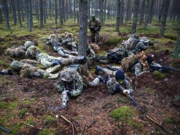 ZABEZPEIT PERIMETR. Polská polovojenská skupina SJS Strzelec cvií...