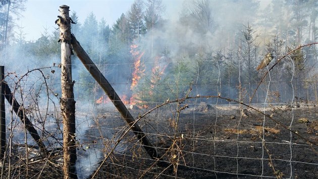 Por zashl zhruba dva hektary lesa na ervenm vrchu u dnsk sti Podmokly.