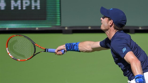 Andy Murray v semifinle turnaje v Indian Wells.