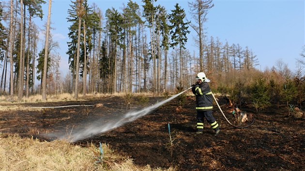 Por, kter na Perovsku zaal patn uhaenm ohnitm u chaty, nakonec zniil vce ne hektar lesa.