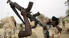 Do boje proti Boko Haram v Nigérii se zapojily i jednotky Čadu (18. března 2015)