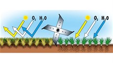 Po vertikutaci trávník lépe pijímá kyslík, vodu i iviny a zdravji roste.