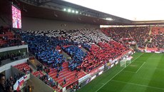 Fanouci ped zápasem esko - Lotysko na stadionu v Edenu