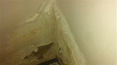 Vzlínání vlhkosti v rohu místnosti s nevhodným dodate�ným zateplením.