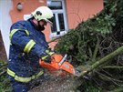 Hasii likvidovali strom, který padl na dm v ulici Na Zlíchov.