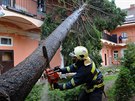 Hasii likvidovali strom, který padl na dm v ulici Na Zlíchov.