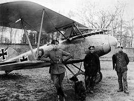 Nasazením prvních Albatrosů D.I ve druhé polovině roku 1916 se dostali Němci...