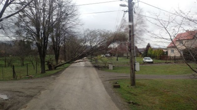 Kvli silnému vtru spadl strom na dráty elektrického vedení v Tinci (31....